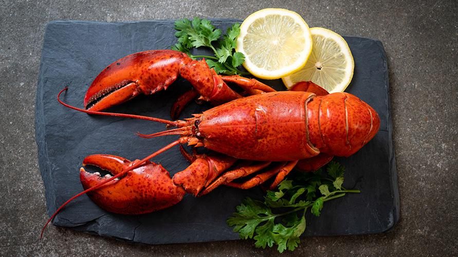 Dianggap sebagai sumber kolesterol, ini adalah manfaat lobster untuk kesihatan
