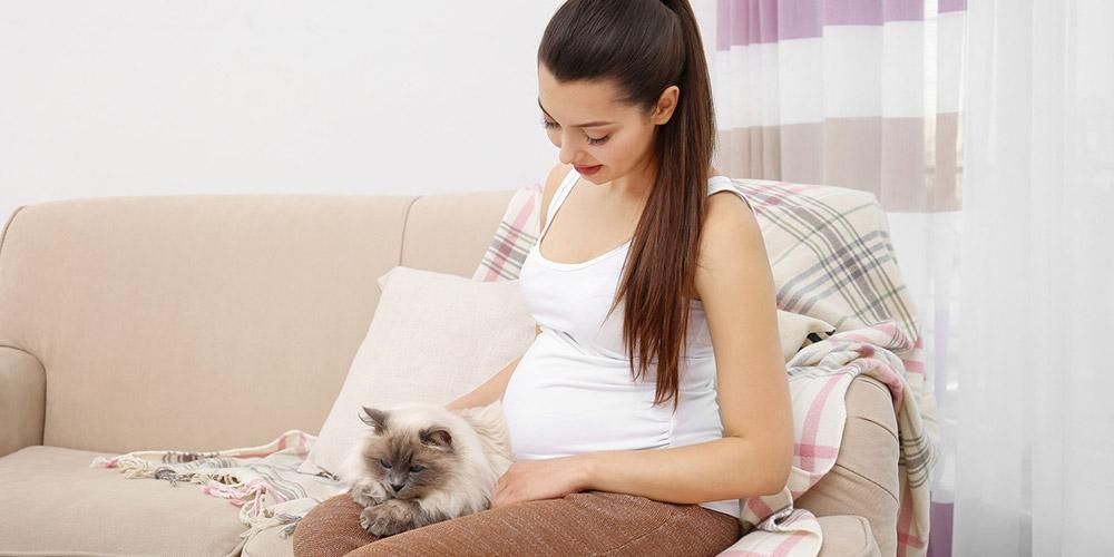 Hamileyken Evcil Hayvan Beslenebilir mi? Bunlar faydalar ve riskler