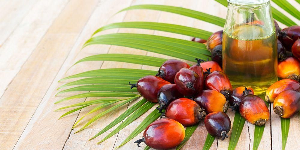 Palm yağının sağlığa faydalarını ve zarar verme risklerini öğrenin
