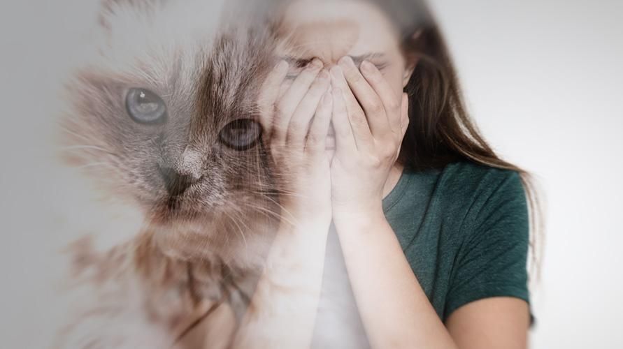 Aktivite Yapamayana Kadar Sıradışı Kedilerin Korkusunu Yenmek