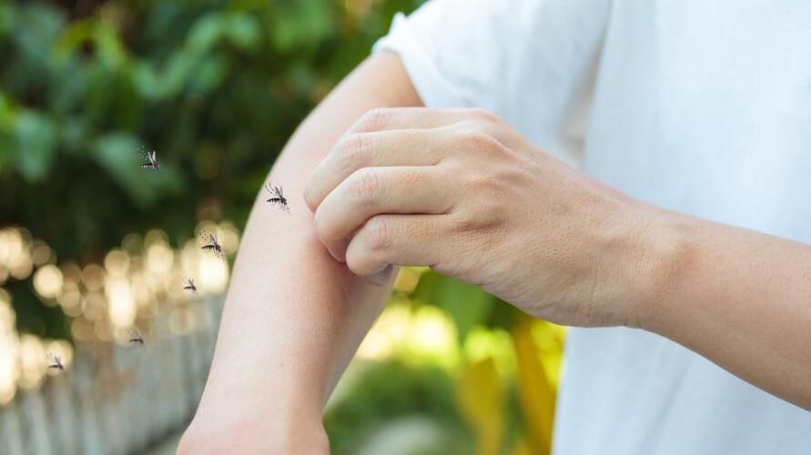 Причини за ухапване от комари и как да го предотвратим