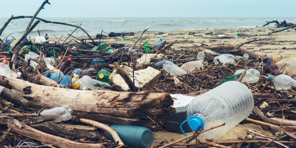 L'impatto dei rifiuti di plastica che infestano l'ambiente e la salute
