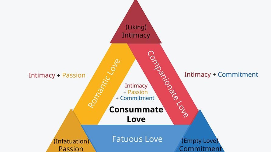 愛の三角理論における愛の構成要素と形態を理解する