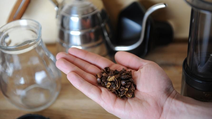 Benefici del tè Cascara dalla pelle dei chicchi di caffè essiccati per la salute