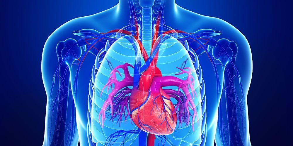 Dextrocardia, gangguan yang jarang berlaku ketika jantung menghadap ke kanan