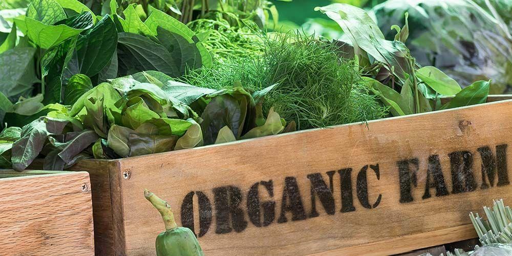 Adakah Sayuran Organik Lebih Sihat daripada Sayuran Biasa?