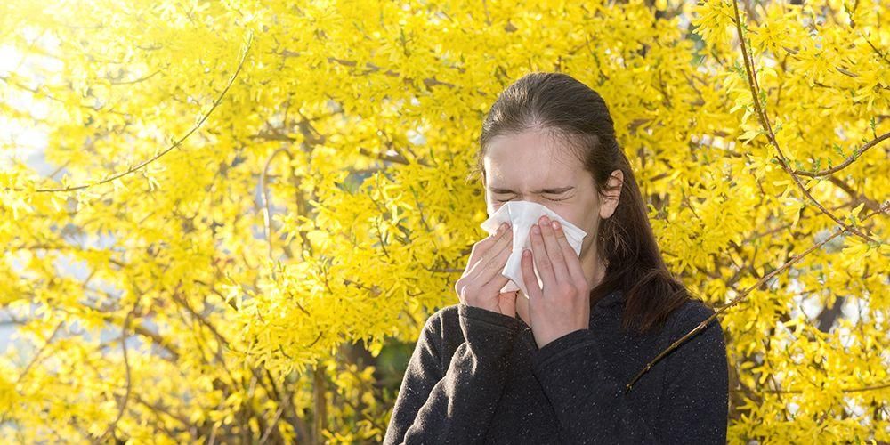 8 Ubat Alahan Semula jadi untuk Mengatasi Reaksi Alergi yang Mengganggu