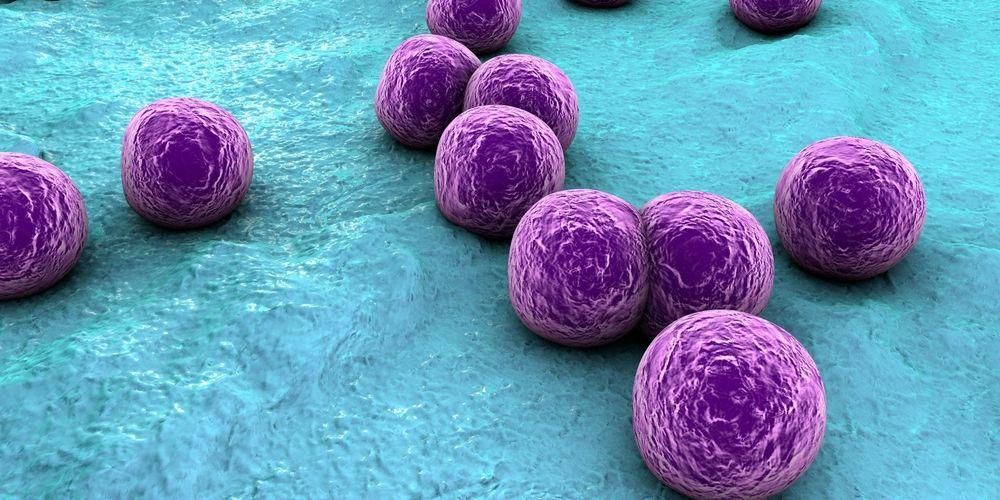 7 заболявания, причинени от инфекция със стафилокок ауреус, от лека до смъртоносна