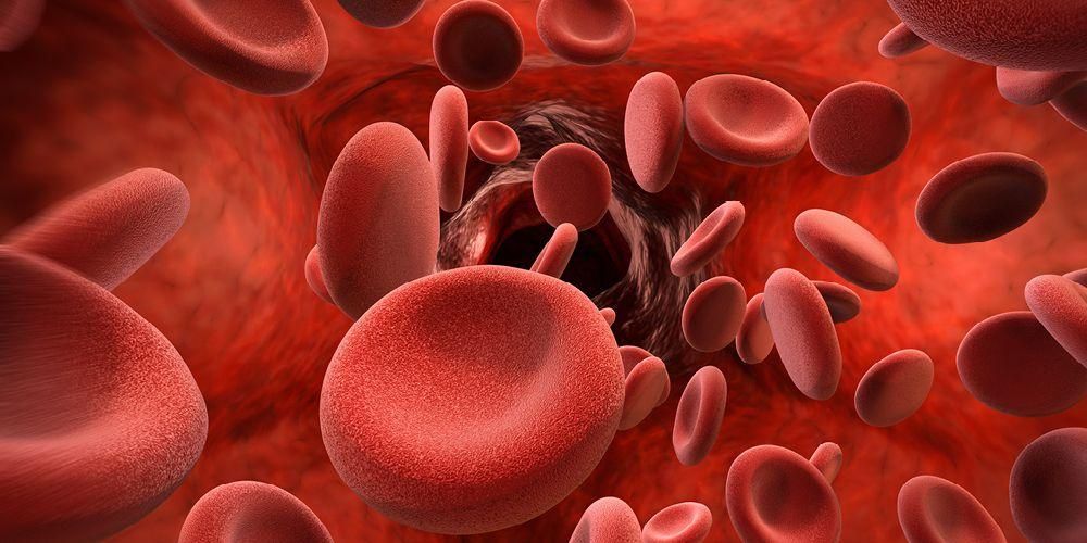 7 Makanan Meningkatkan Platelet untuk Orang yang Mengidap Trombositopenia