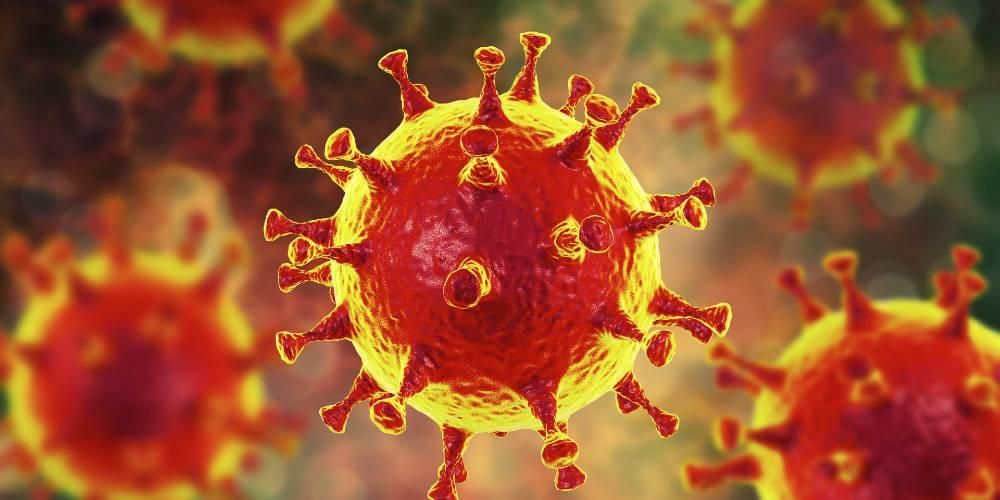 Banyak Teori Mengenai SARS-Cov-2, Dari Mana Asalnya Virus Corona?