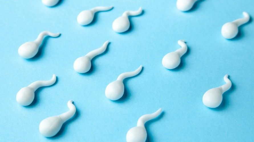 Azospermi, Dikkat Edilmesi Gereken Boş Erkek Sperm Durumudur