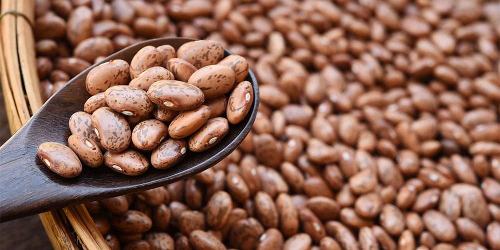 Kenali Pemakanan Pinto Nuts dan Manfaatnya untuk Kesihatan