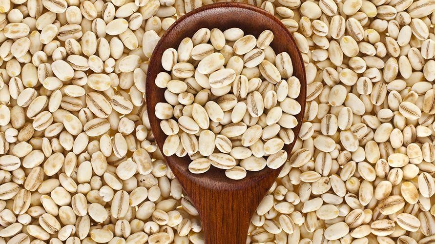 大麦は最も健康的な小麦プロセスです、利点は何ですか？