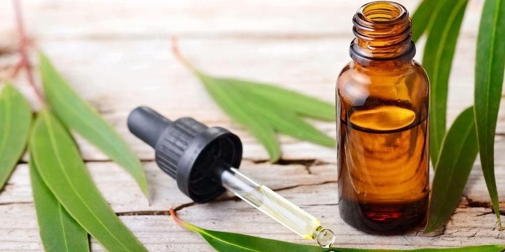 8 benefici dell'olio di eucalipto, non solo per riscaldare il corpo