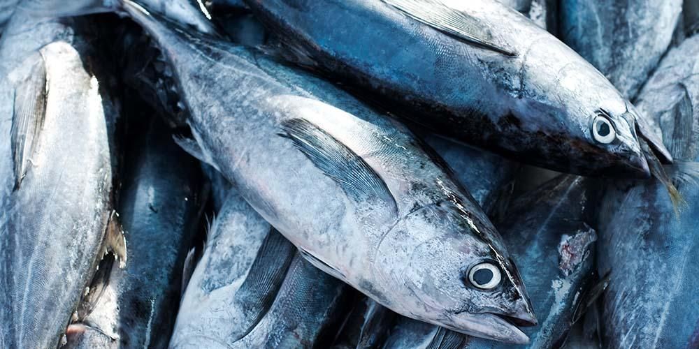 Ползите от риба тон за бебета и рисковете, които трябва да знаете