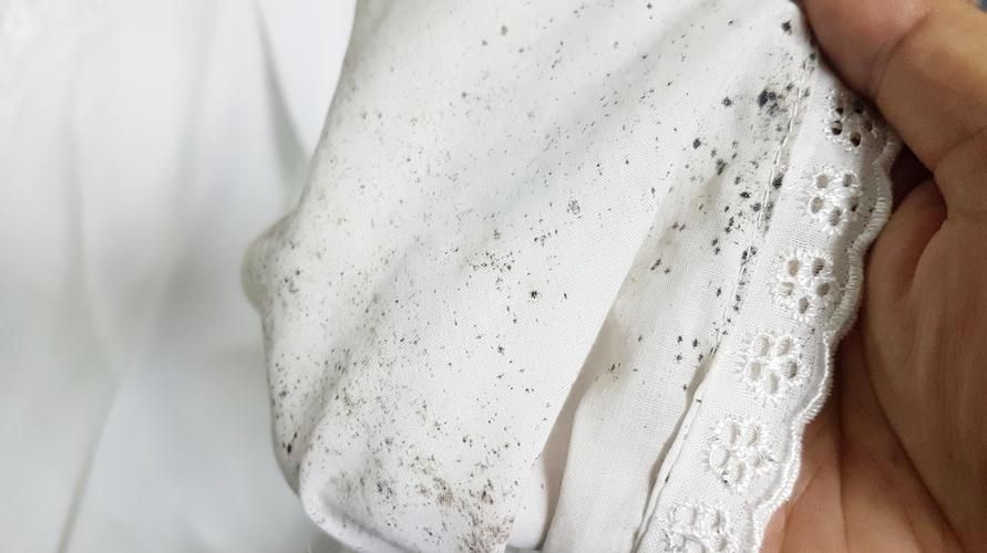 Как да се отървете от мухъл по дрехите с домашни съставки