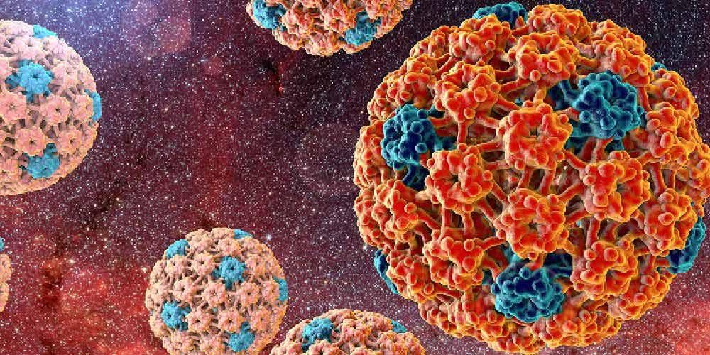 Virus HPV, una delle cause del cancro cervicale