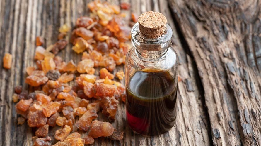 6 Kebaikan Myrrh aka Myrrh Oil, Kuat Terhadap Bakteria dan Parasit