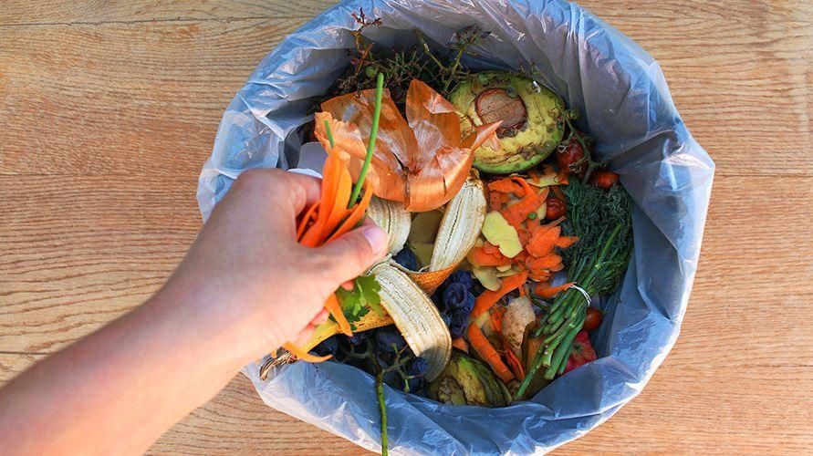 8 творчески начина за обработка на остатъчната храна, без да се допринася за отпадъците към TPA