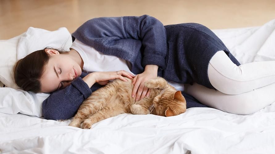 Kedilerle Uyumak Sağlıklı mı?