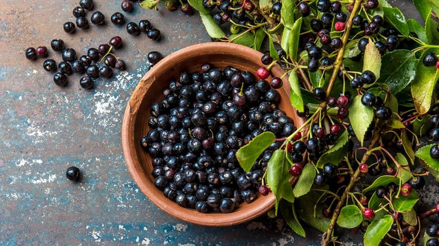 7 kebaikan Maqui Berry yang tinggi antioksidan