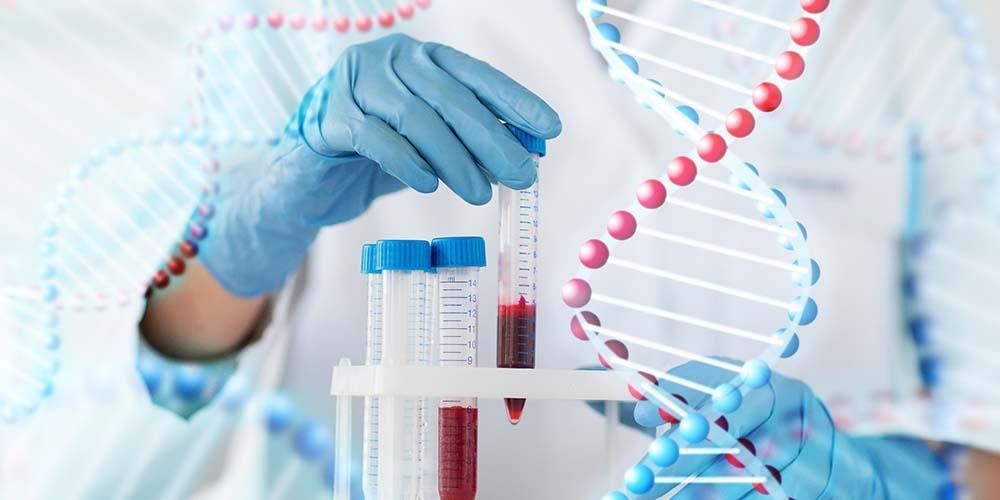 Vuoi il test del DNA di un bambino? Conoscere le funzioni e le procedure