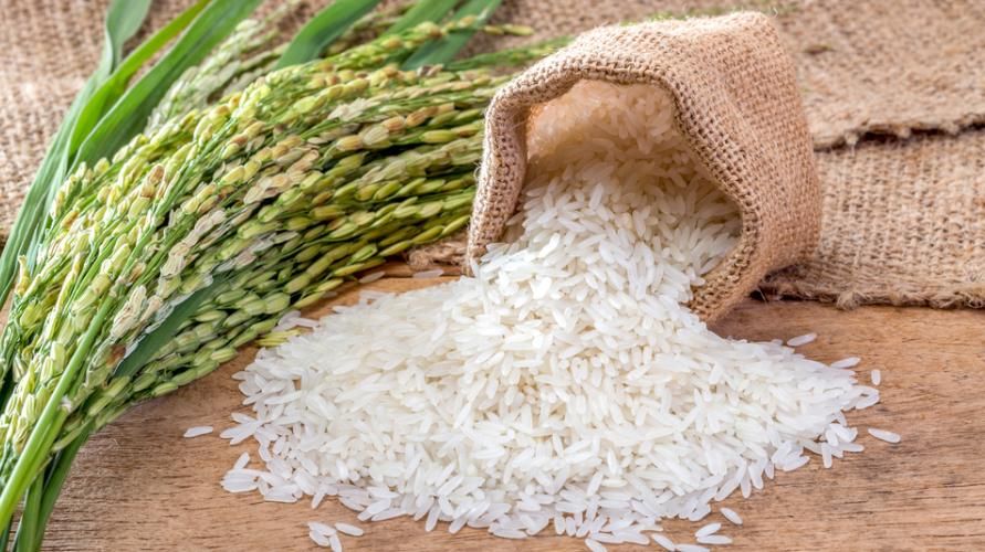 مخاطر تناول الأرز الخام على الصحة
