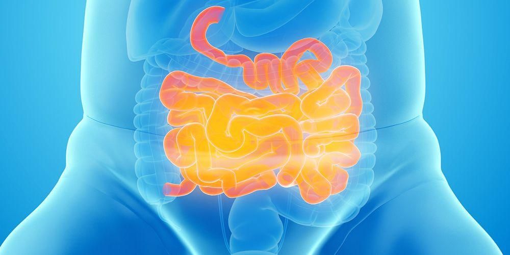 La diagnosi precoce di NEC previene l'esacerbazione delle infezioni intestinali nei neonati