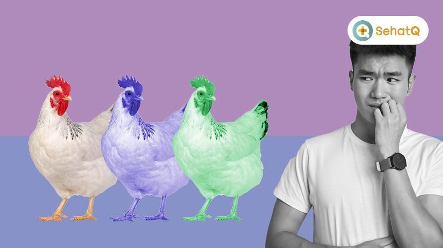 Alektorophobia أو الخوف المفرط من رؤية الدجاج ، وإليك كيفية التغلب عليه