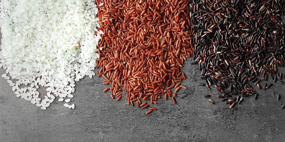 Conoscere i diversi tipi di riso, quale scegliere?
