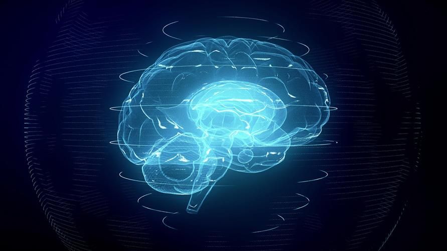 Comprendere la neuroplasticità e la via del cambiamento strutturale del cervello