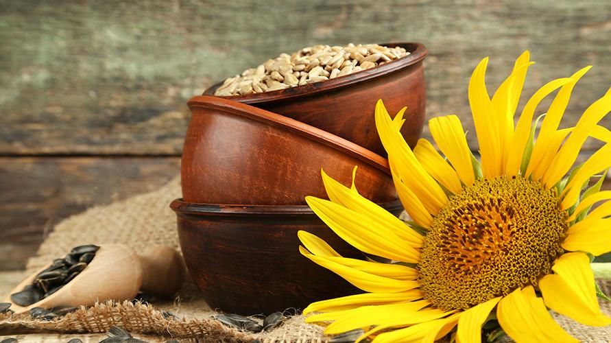 Mempunyai banyak kandungan nutrisi, ini adalah kelebihan biji bunga matahari untuk kesihatan