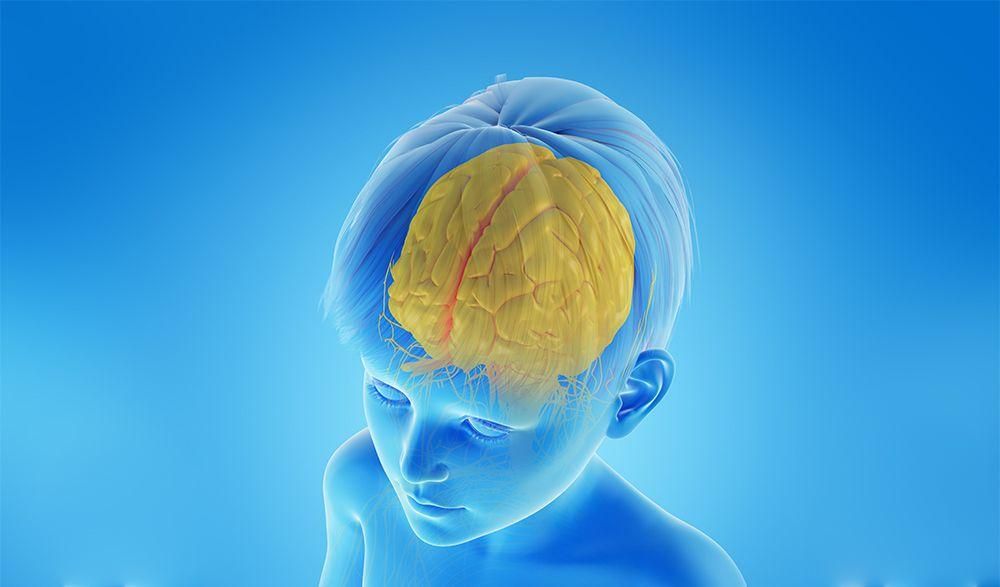 Beyin Plastisitesini Anlayarak Çocukların Zekasını Optimize Edin